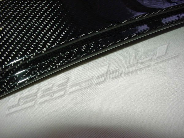 Musterbild_Carbon_Tuerblenden_Goeckel_3.jpg
